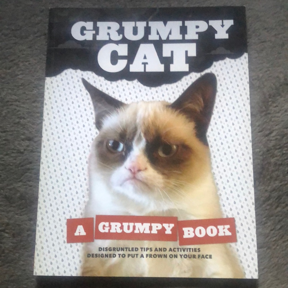 Grumpy cat book: a grumpy book mbr